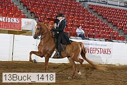 13buck_1418 proof