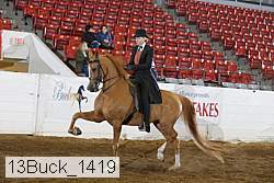 13buck_1419 proof