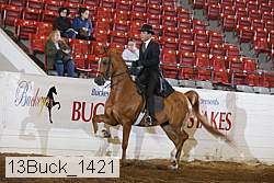 13buck_1421 proof