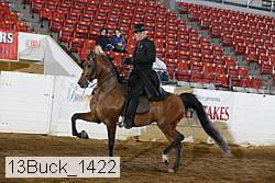 13buck_1422 proof