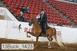 13buck_1423 proof