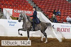 13buck_1424 proof