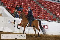 13buck_1427 proof