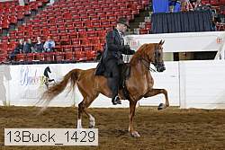 13buck_1429 proof