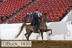 13buck_1430 proof