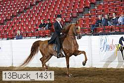 13buck_1431 proof