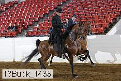 13buck_1433 proof