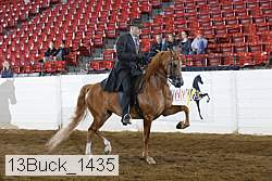 13buck_1435 proof