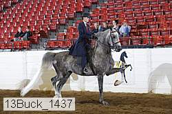 13buck_1437 proof