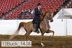 13buck_1438 proof