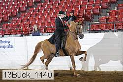 13buck_1440 proof