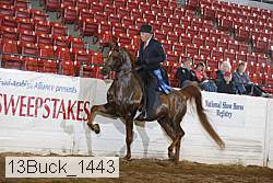 13buck_1443 proof