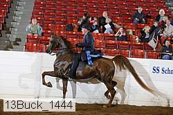 13buck_1444 proof