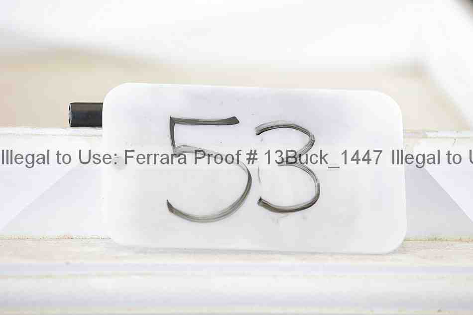 Proof 13buck_1447