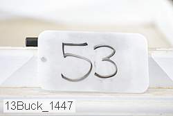 13buck_1447 proof