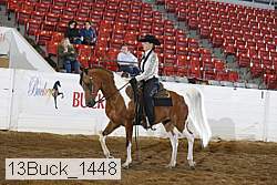 13buck_1448 proof