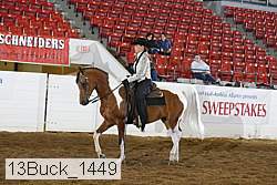 13buck_1449 proof