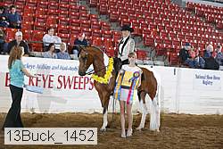 13buck_1452 proof