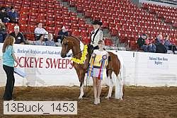 13buck_1453 proof