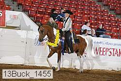 13buck_1455 proof