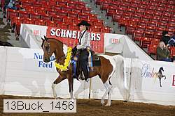 13buck_1456 proof