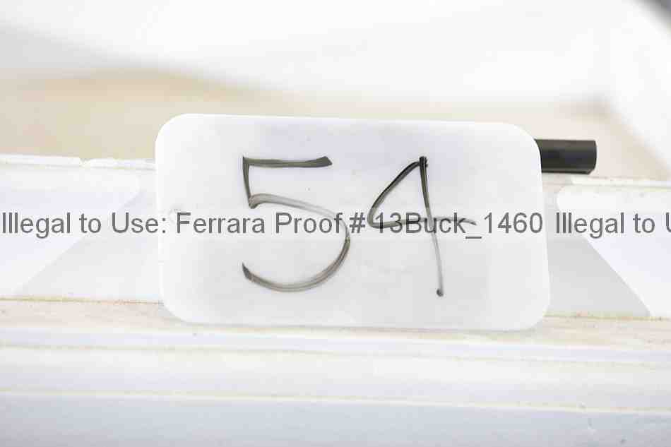 Proof 13buck_1460