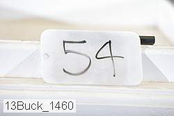 13buck_1460 proof