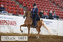 13buck_1461 proof