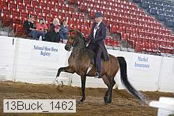 13buck_1462 proof