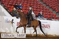 13buck_1466 proof
