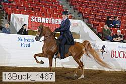 13buck_1467 proof
