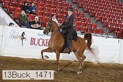 13buck_1471 proof