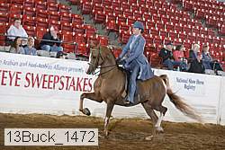 13buck_1472 proof