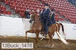 13buck_1476 proof