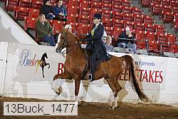 13buck_1477 proof