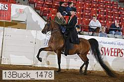 13buck_1478 proof