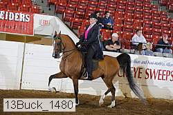 13buck_1480 proof