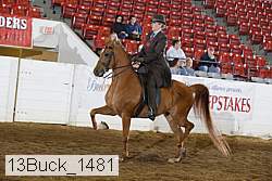 13buck_1481 proof