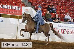 13buck_1482 proof
