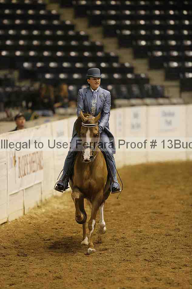 Proof 13buck_1485