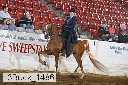 13buck_1486 proof