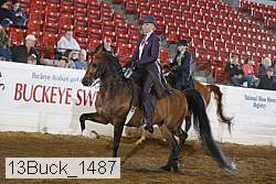 13buck_1487 proof