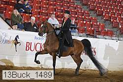 13buck_1489 proof
