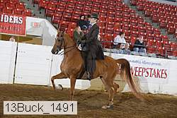 13buck_1491 proof
