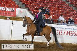 13buck_1492 proof