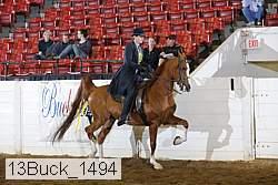 13buck_1494 proof