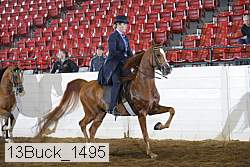 13buck_1495 proof