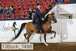 13buck_1496 proof