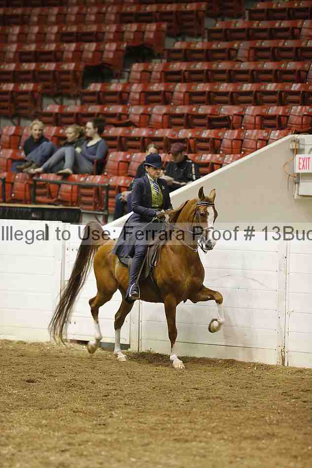 Proof 13buck_1497