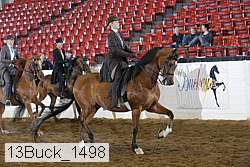 13buck_1498 proof